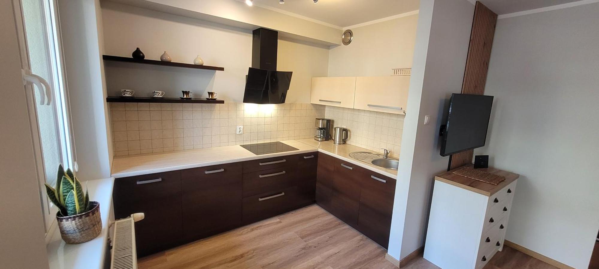 Apartament Karolina - Zielone Tarasy コウォブジェク エクステリア 写真