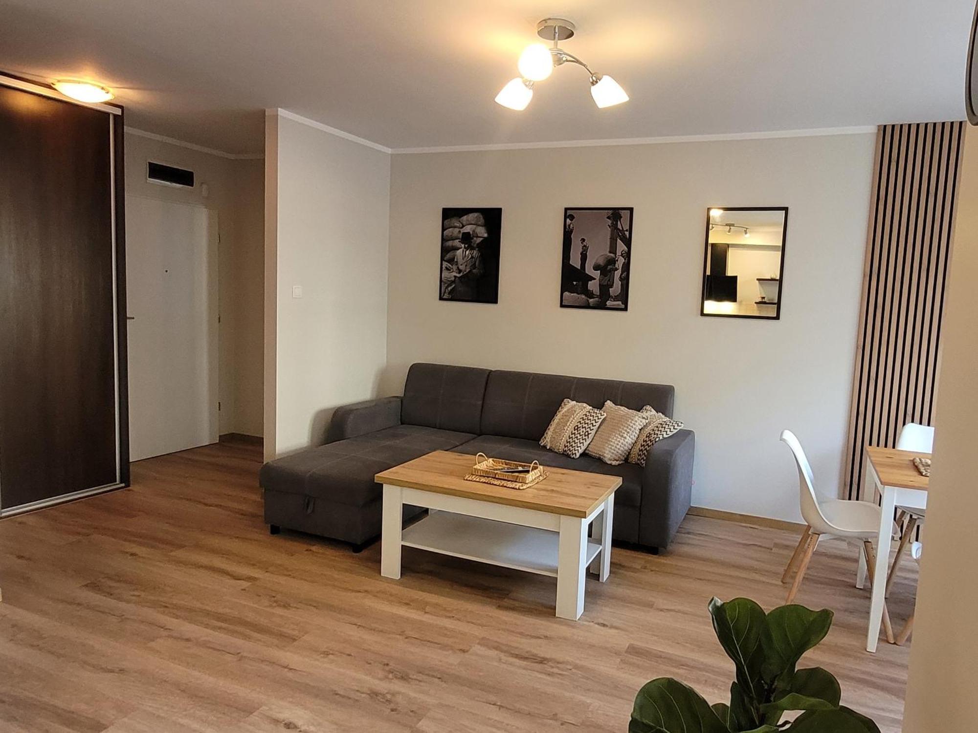 Apartament Karolina - Zielone Tarasy コウォブジェク エクステリア 写真