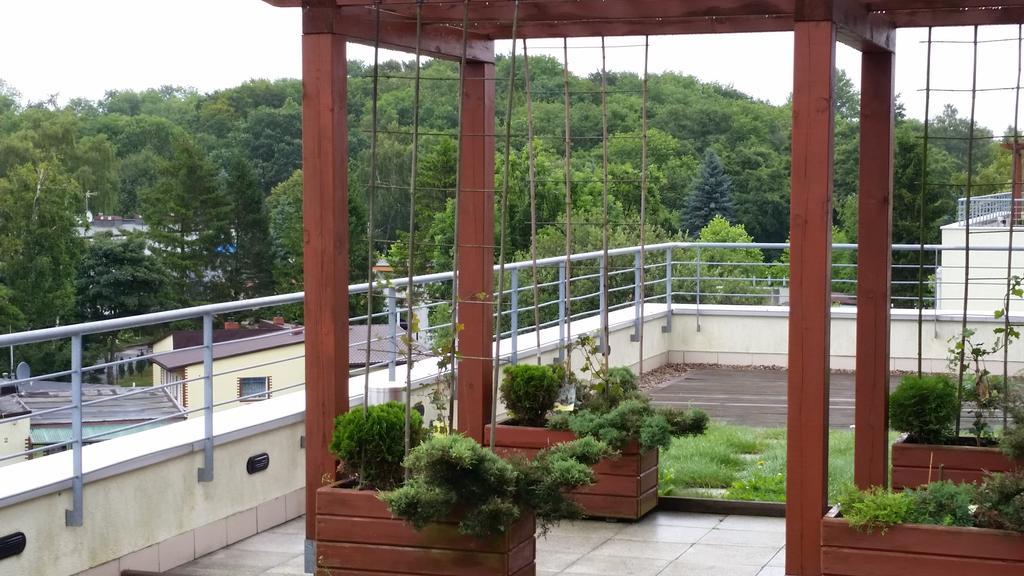 Apartament Karolina - Zielone Tarasy コウォブジェク エクステリア 写真